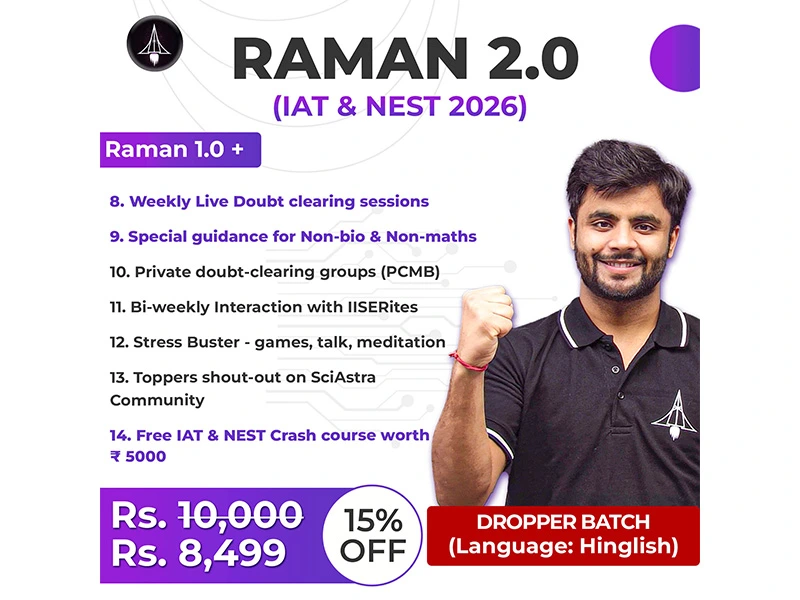 RAMAN BATCH 2.0